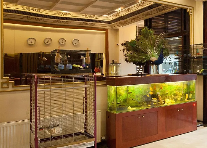 Kadikoey Rihtim Стамбул